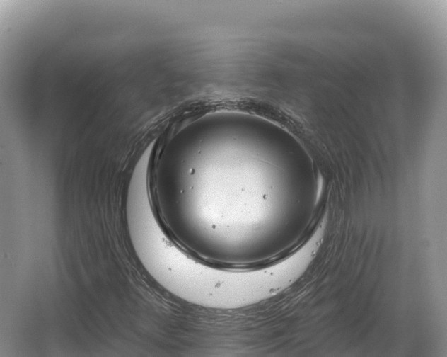 X0000067901348200604171352