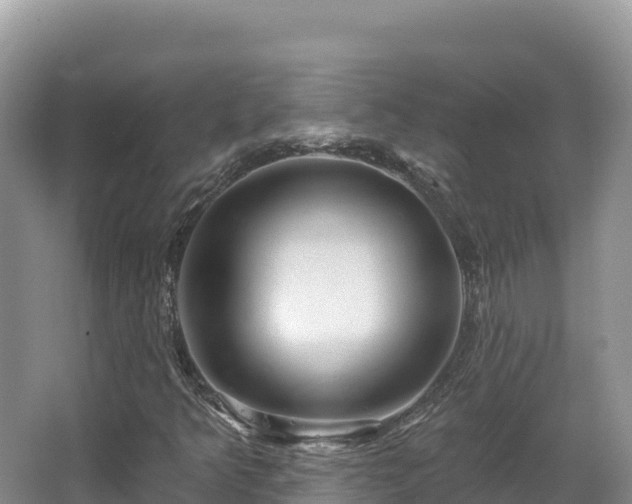 X0000067901349200604171352