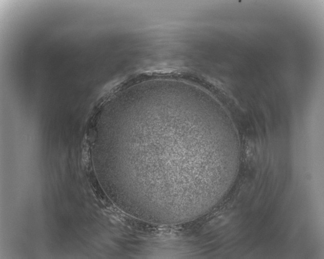 X0000067901350200604171352