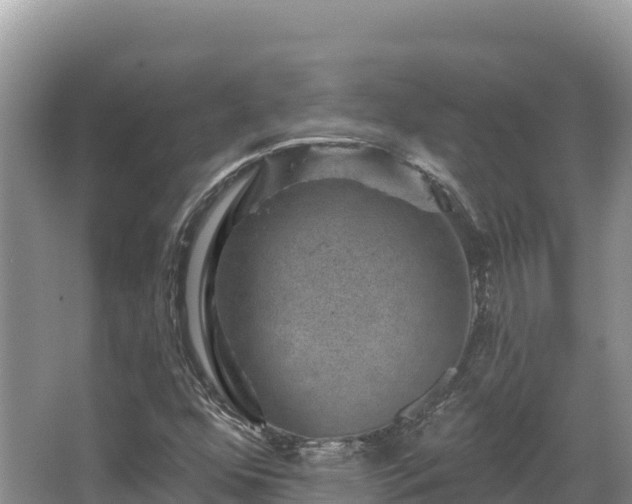 X0000067901352200604171352