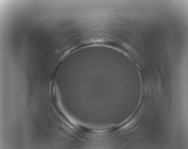 X0000067901353200604171352