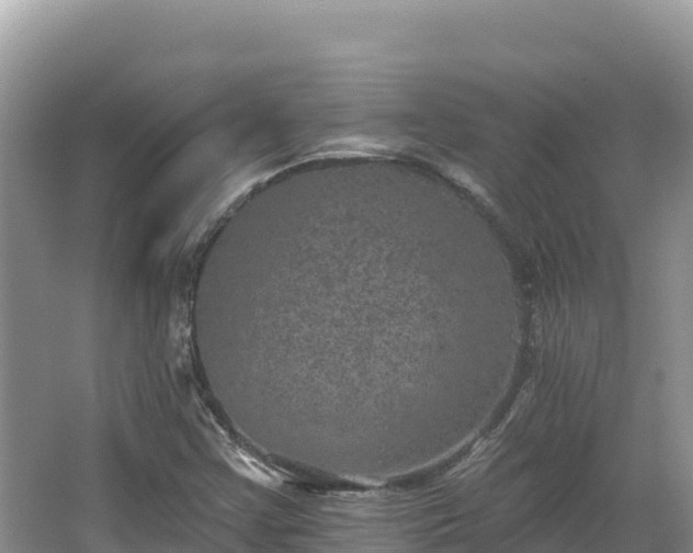 X0000067901355200604171352