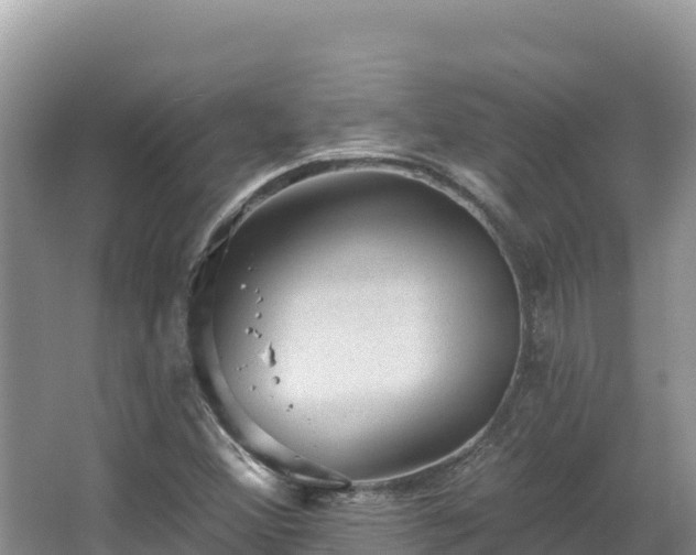 X0000067901356200604171352