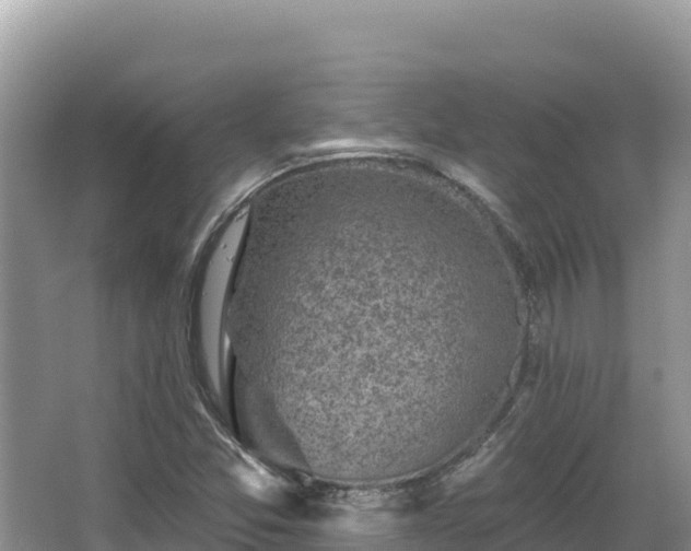 X0000067901357200604171352