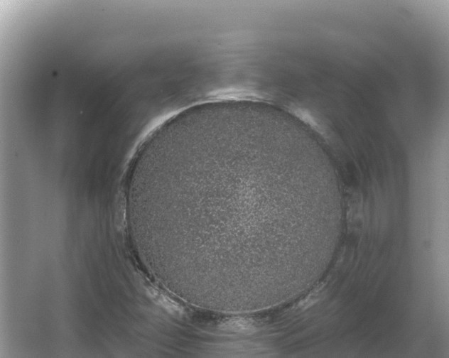 X0000067901358200604171352