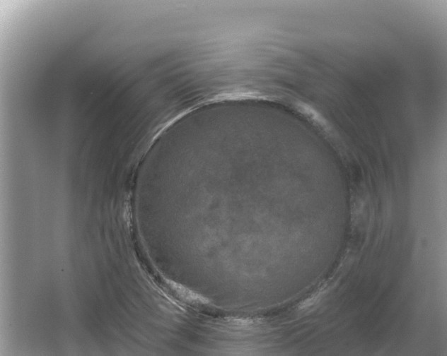 X0000067901361200604171352