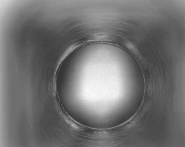 X0000067901370200604171352