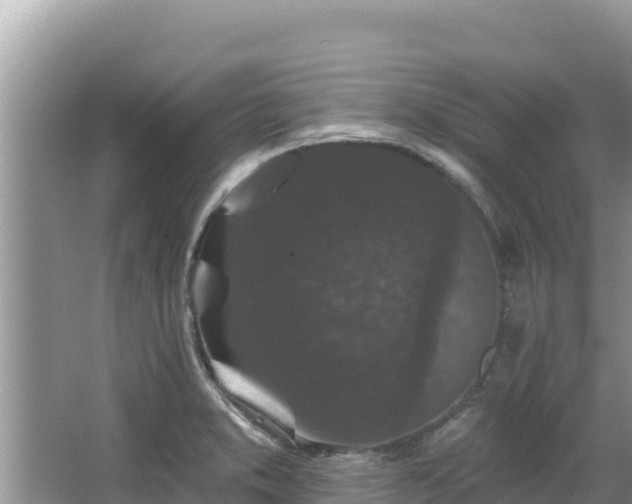 X0000067901373200604171352