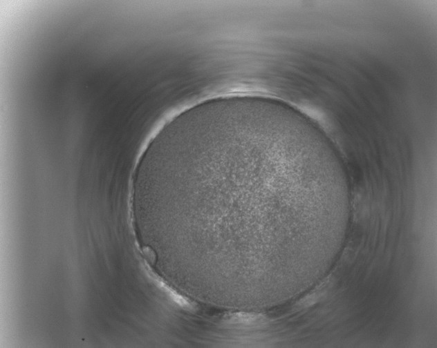 X0000067901374200604171352