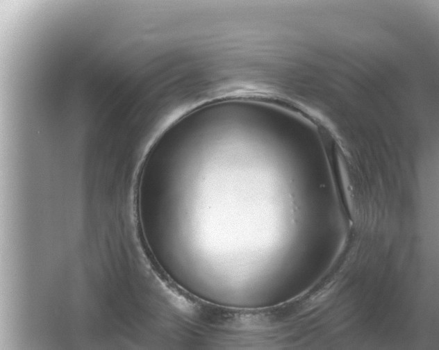 X0000067901375200604171352