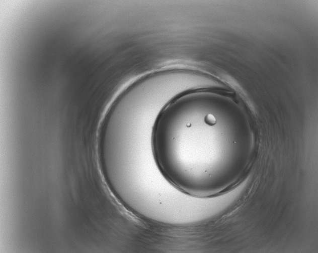 X0000067901376200604171352