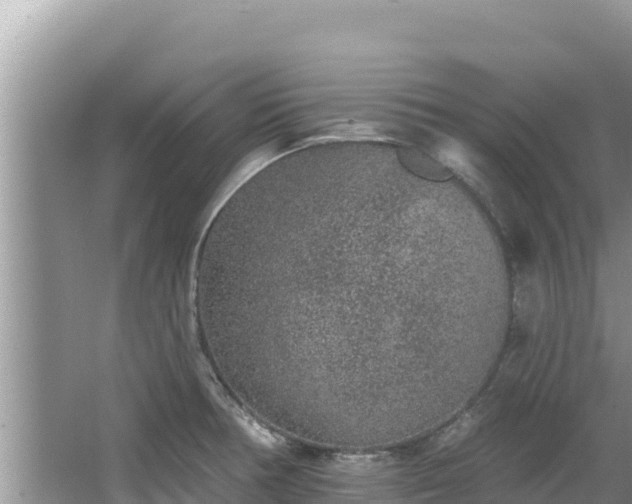 X0000067901378200604171352