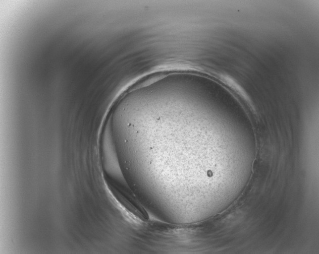 X0000067901380200604171352