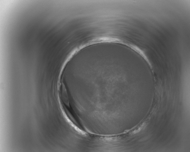 X0000067901381200604171352