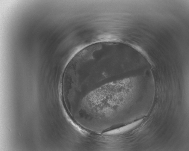 X0000067901383200604171352