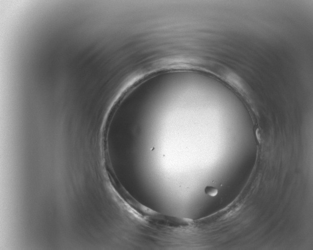 X0000067901384200604171352