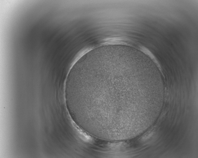 X0000067901386200604171352