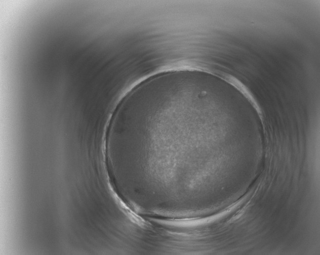 X0000067901388200604171351