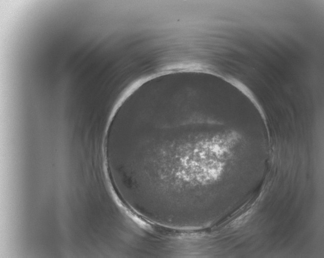 X0000067901389200604171351