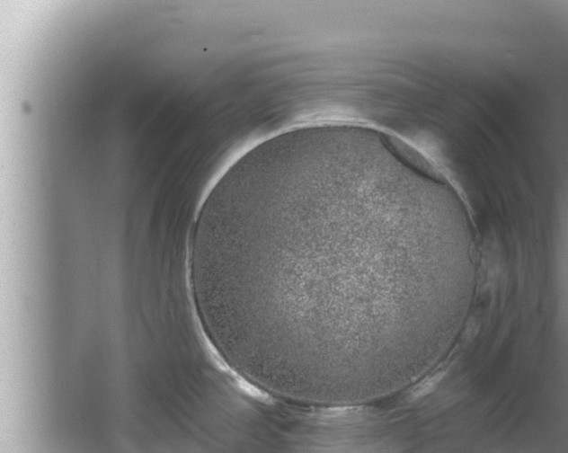 X0000067901390200604171351