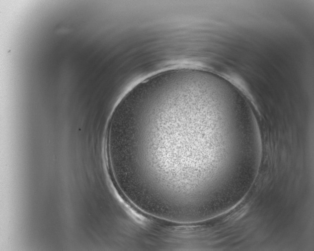 X0000067901391200604171351