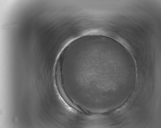 X0000067901392200604171351