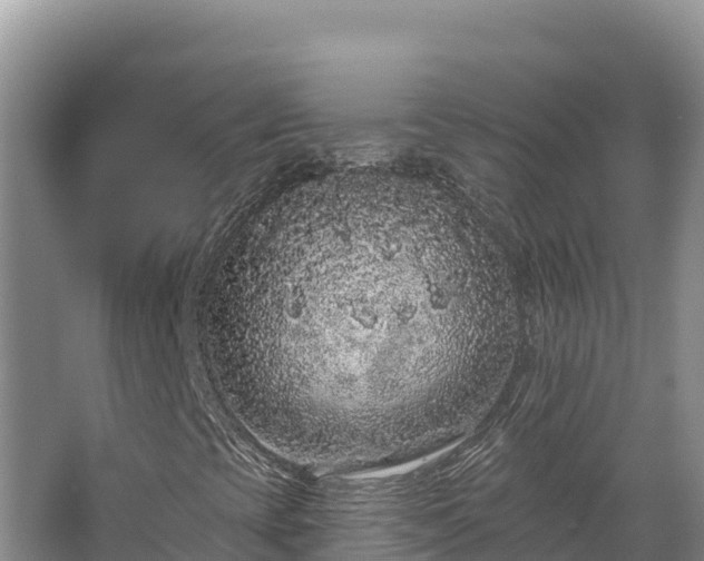 X0000067901393200604171351