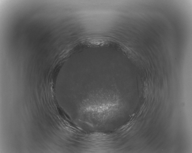 X0000067901394200604171351