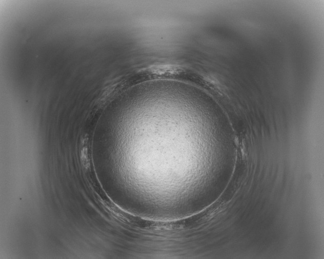 X0000067901396200604171351