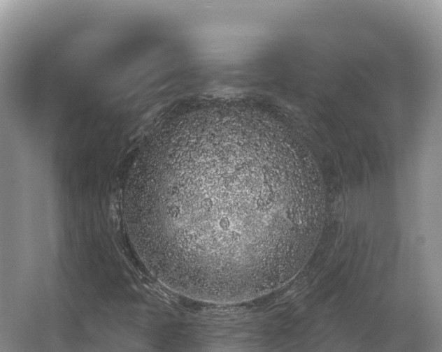 X0000067901397200604171351