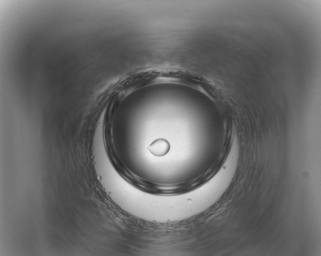 X0000067901398200604171351