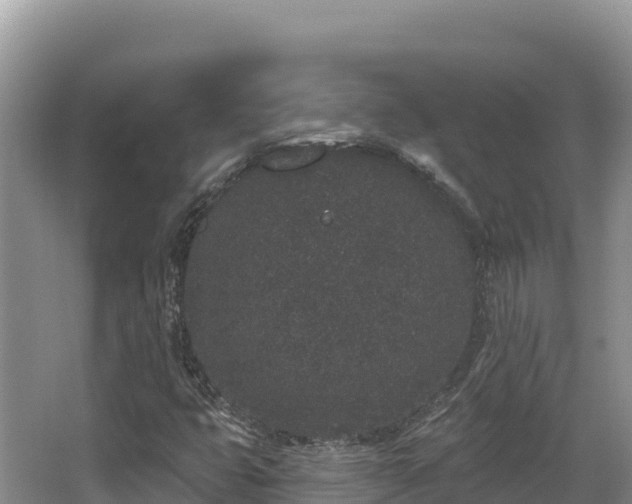 X0000067901399200604171351