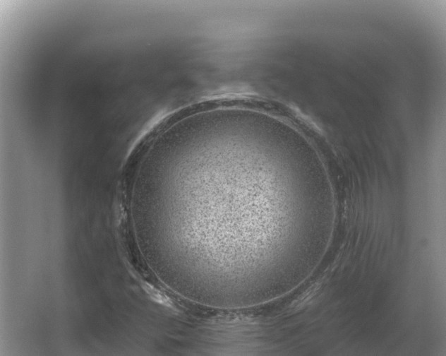 X0000067901400200604171351