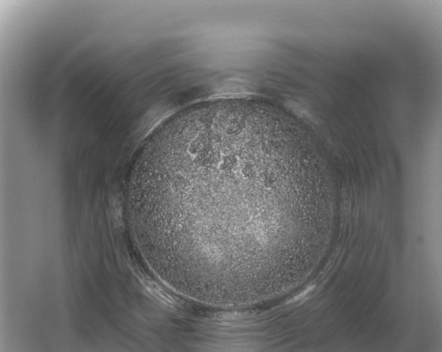 X0000067901401200604171351