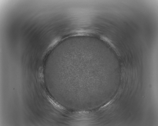 X0000067901403200604171351