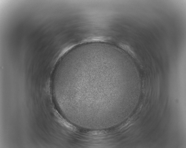 X0000067901404200604171351