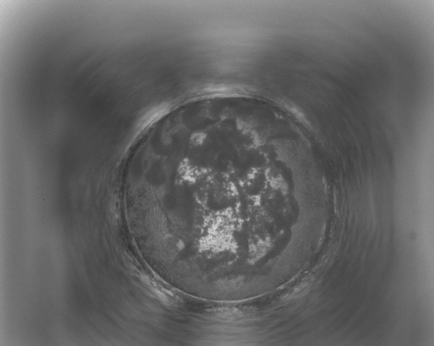 X0000067901405200604171351