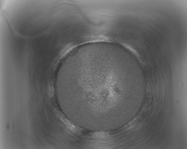 X0000067901407200604171351