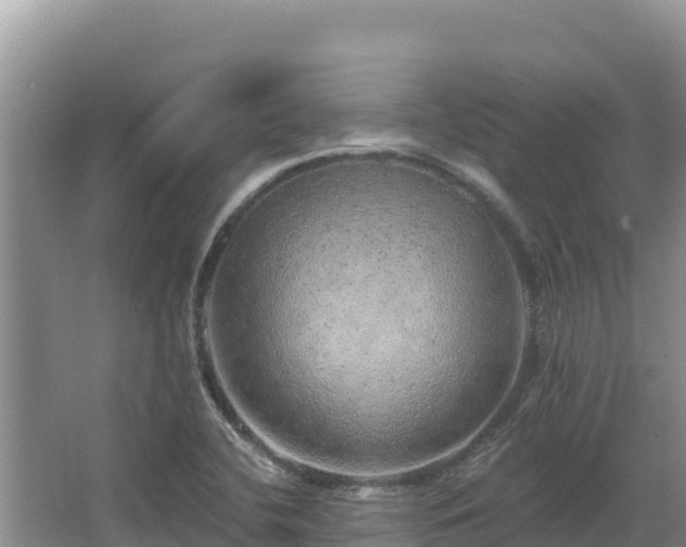 X0000067901412200604171351