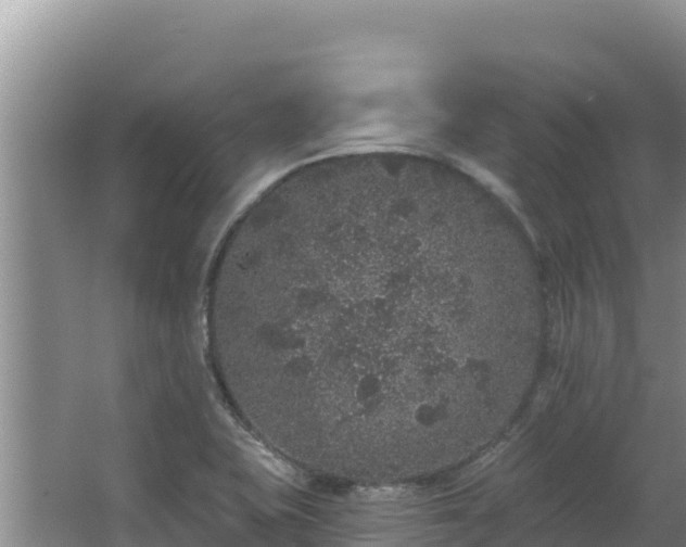 X0000067901415200604171351