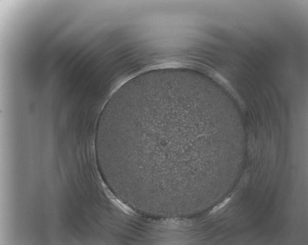 X0000067901417200604171351