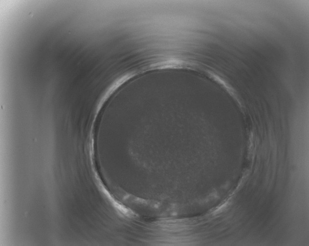 X0000067901418200604171351