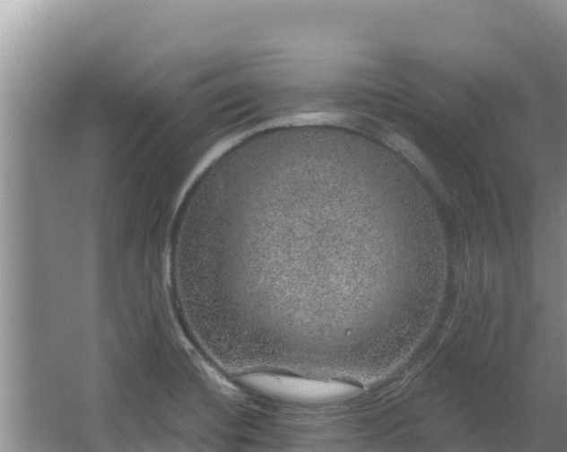 X0000067901420200604171351