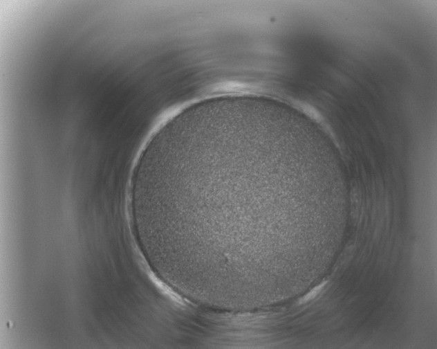 X0000067901421200604171351