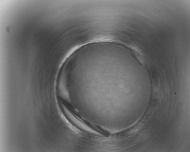 X0000067901422200604171351