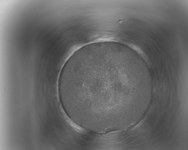 X0000067901423200604171351