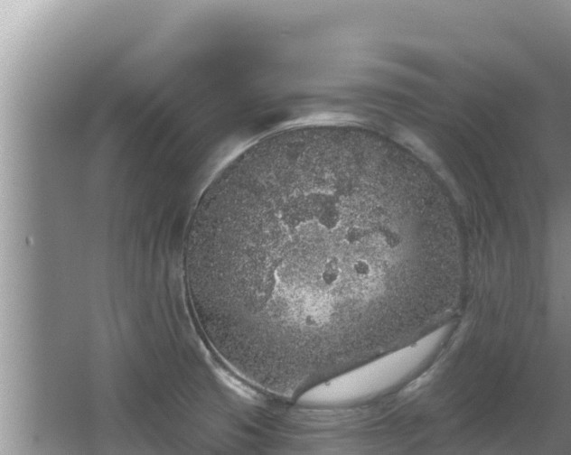 X0000067901425200604171351