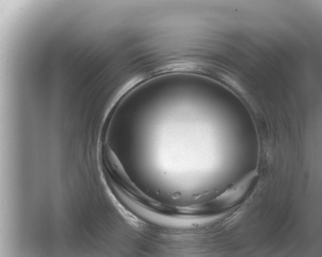 X0000067901426200604171351