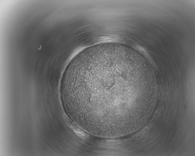 X0000067901427200604171351