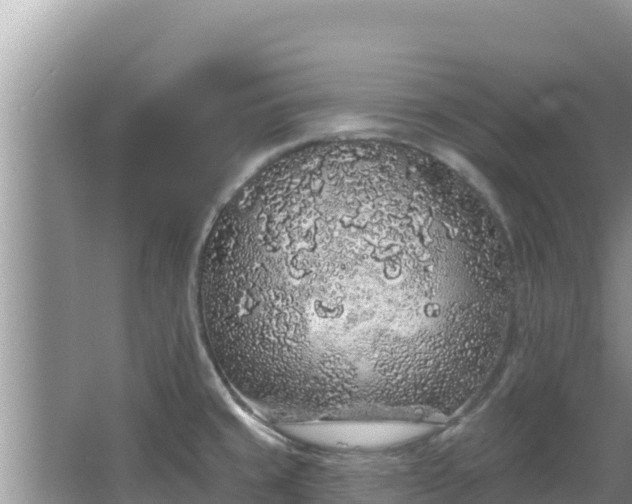 X0000067901429200604171351